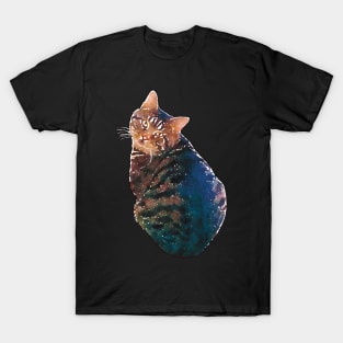 Fat Tabby Cat Watercolor Style T-Shirt